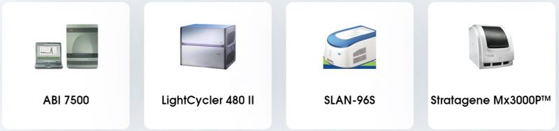 PCR Validation